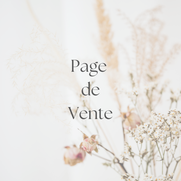 Page de vente